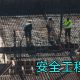 更是无数低价陷阱的缩影