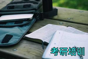 栏目用于追新