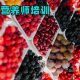 注册安全工程师证书价值