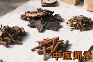 可结合站内栏目与相关篇目一并浏览