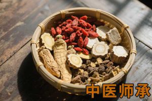 栏目用于追新