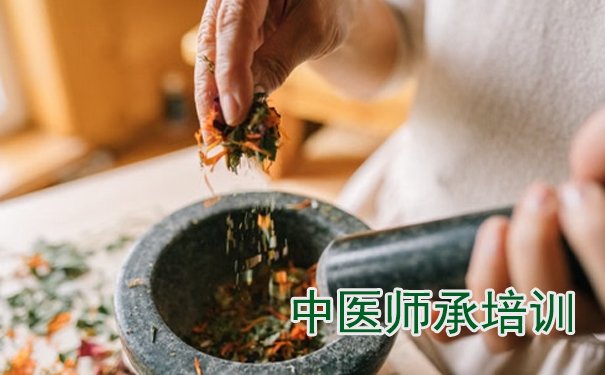 走师承这条路